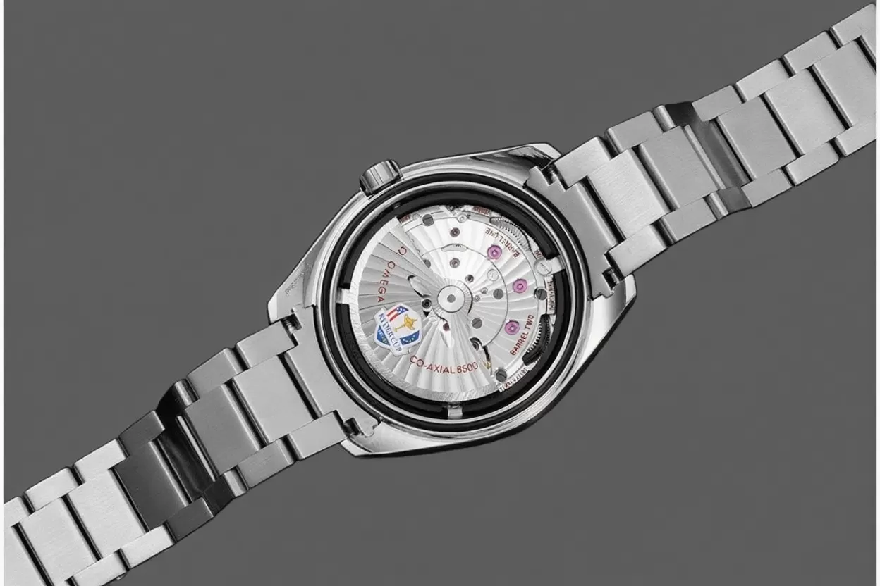 Aqua Terra 15000 Gauss Anti-Mg 41mm SS/SS VSF A8500 - Image 7