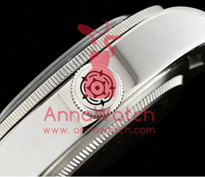 Tudor - Heritage Black Bay Orologi & Passioni SS/SS Black ZF A2824 - Image 6