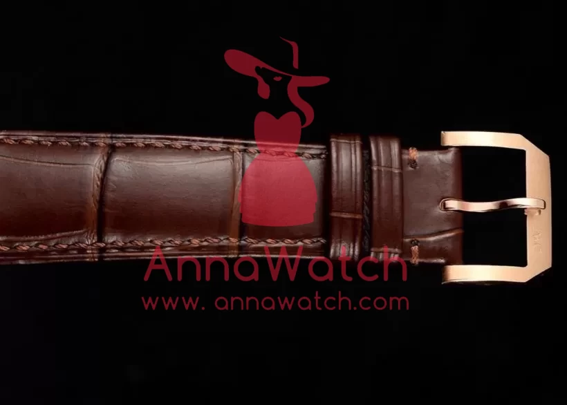 Portugieser IW545 42.4mm RG/LE White Dial RMSF Tourb - Image 11