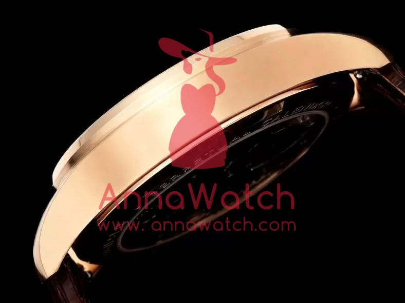 Portugieser IW545 42.4mm RG/LE White Dial RMSF Tourb - Image 8
