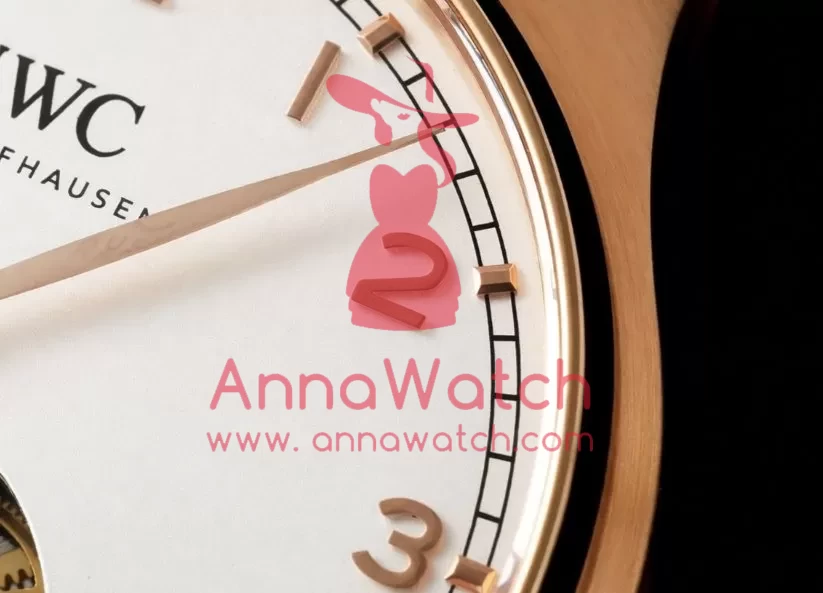 Portugieser IW545 42.4mm RG/LE White Dial RMSF Tourb - Image 6