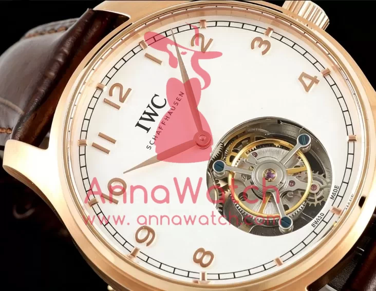 Portugieser IW545 42.4mm RG/LE White Dial RMSF Tourb - Image 5