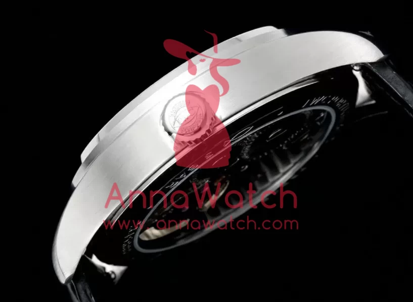 Portugieser IW545 42.4mm SS/LE White Dial RMSF Tourb - Image 6