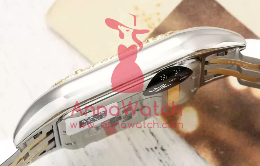 Panthere Secrete De Ladies 27mm Dia YG/SS Gold Brown Dial AF Quartz - Image 7